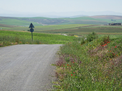 The road is a super highway for bicycles.